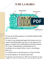 Virus de La Rabia Exposicion