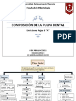 Composición de La Pulpa Dental - Erick Luna Rojas 3A