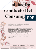 Modelos de Comportamiento Del Consumidor