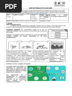 Guía de Trabajo Ecología 1° Medio Biología