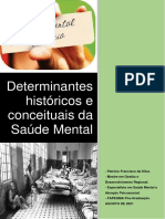 Determinantes históricos da Saúde Mental