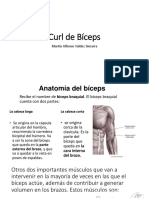 Curl de Biceps PDF