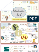 MAPAS MENTALES 1