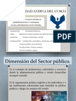 Dimensión e Indicadores Del Sector Público