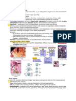 Introduction To Cell Injury:: Seen Barretts