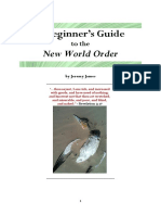 A Beginners Guide to The New World Order