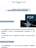 Neuroplasticidade e recuperação após lesão