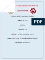 Z7a - Mapa Conceptual - Chable