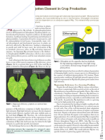 Magnésio o Elemento Esquecido Na Nutrição de Plantas