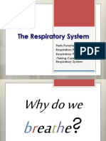The Respiratory System: Parts/Functions/ Respiration Process/ Respiratory Problem /taking Care of The Respiratory System