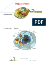 Celula Citoplasma - GT - PDF