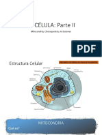 Celula II - Mit - Inclusiones - Citoesqueleto - GT