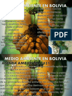 Medio Ambiente en Bolivia