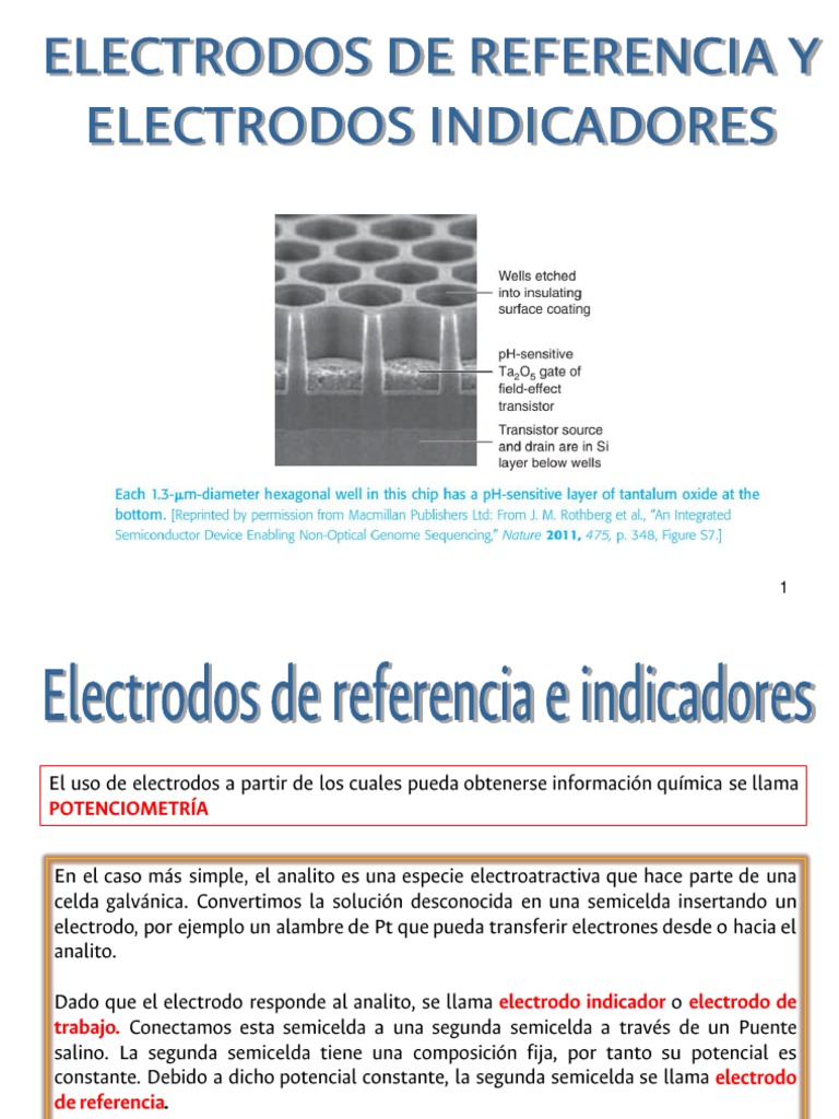Presentación Electrodos de Referencia PDF
