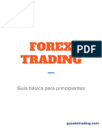 Guía completa sobre Forex trading: aprende los conceptos básicos