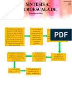 Diagrama de Flujo Practica 6 Organica