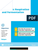 L8 Anaerobic Respiration and Fermentation