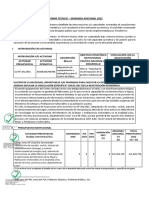 Informe Técnico