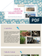 Recursos Naturales de Piedecuesta