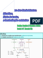 Glicàlise Slides 1 A 10