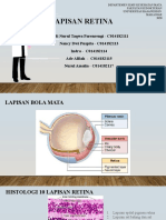 10 Lapisan Retina