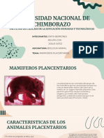 Mamiferos Placentarios
