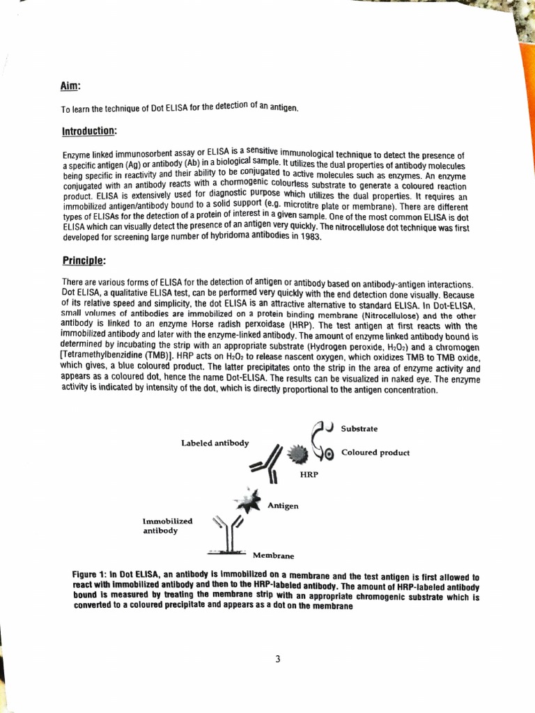 Dotting the i's and crossing the t's A guide to performing Dot ELISA