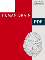 Mai J. Atlas of the Human Brain