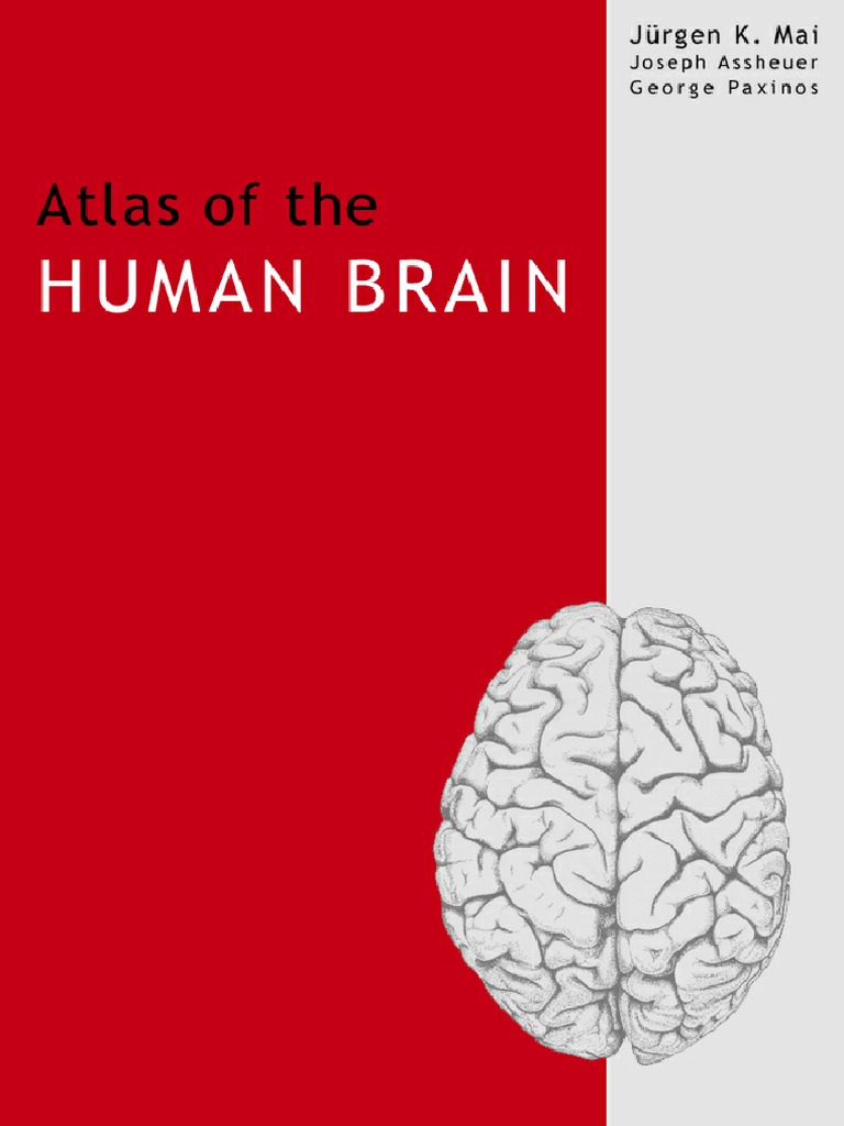 Mai J. Atlas of The Human Brain | PDF | Magnetic Resonance Imaging ...