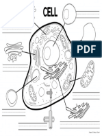 Cell Labeling Worksheet Flat