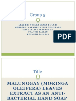 Group 5 Malunggay