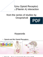The MOR (Mu Opioid Receptor) and FLNA (Filamin A)