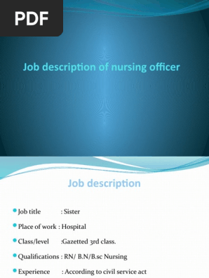 Job Description