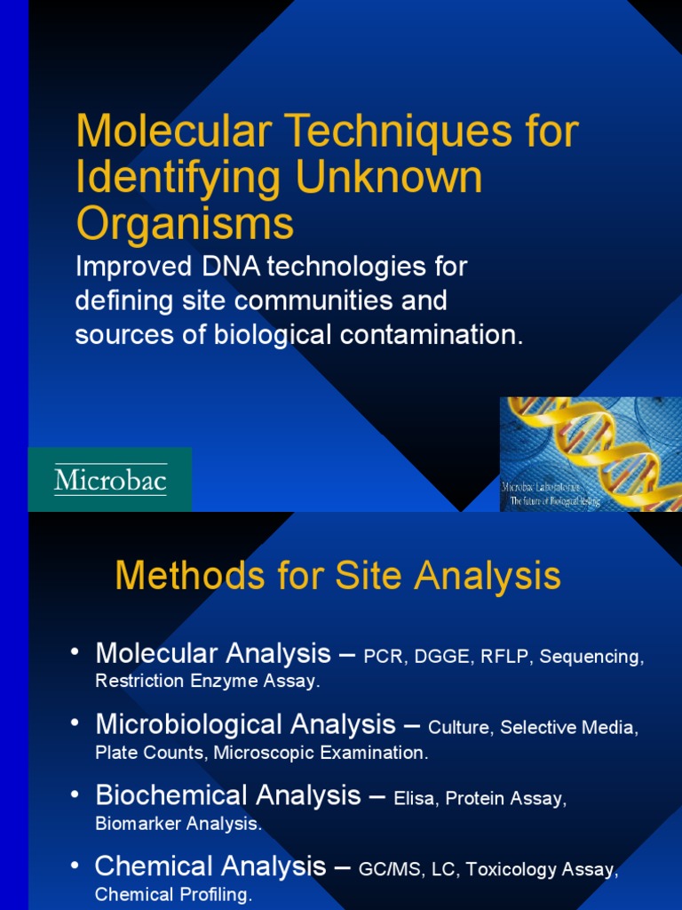 DNA Techniques for Identifying Organisms | PDF