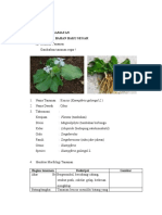 Hasil Pengamatan Farmakognosi