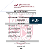 Informe 3 - Pato-Práct - Eso21