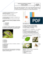 Examen Tercer Periodo 5°