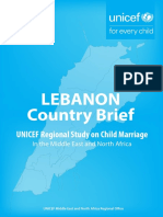 MENA CMReport LebanonBrief PDF