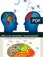 Psicologia General Sensacion y Percepcion