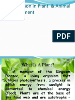 Comparison Between Plant and Animal Development