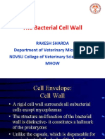 The Bacterial Cell Wall