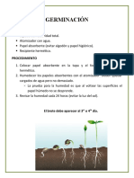 Pequeño manual para el cultivo de cannabis medicinal