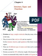 Proteins Structure, Types and Functions