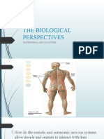 THE BIOLOGICAL PERSPECTIVES OF THE PERIPHERAL NERVOUS SYSTEM