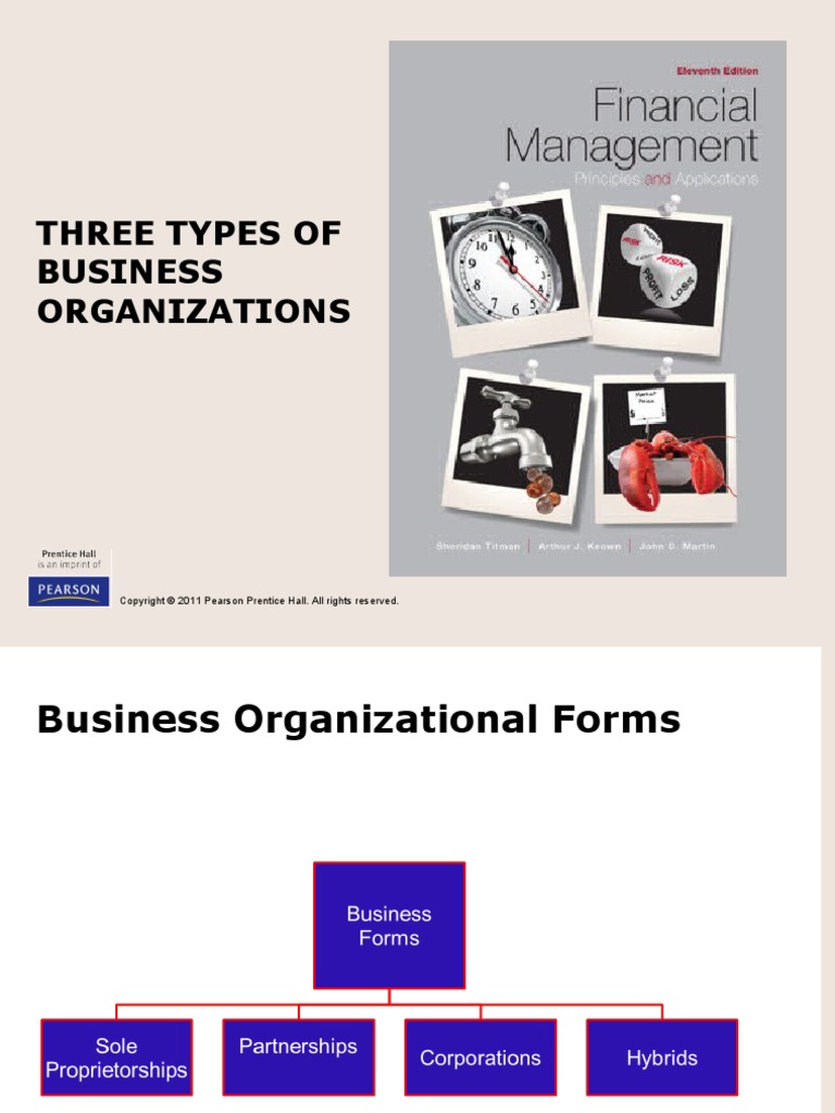 Types of Business Organization | PDF | Sole Proprietorship | Corporations