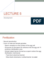 Lecture 5 - Development