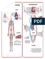 Sistem Peredaran Darh