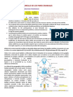 Desarrollo de Los Pares Craneales