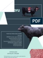 Wagyu PDF