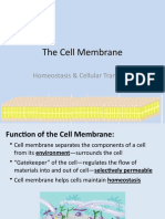 The Cell Membrane: Homeostasis & Cellular Transport